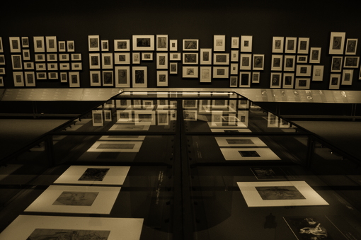 Allestimento Mostra 04-PETERZANO 02