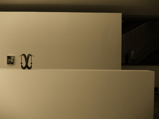 Allestimento Mostra 10-ELAD-LASSRY 04