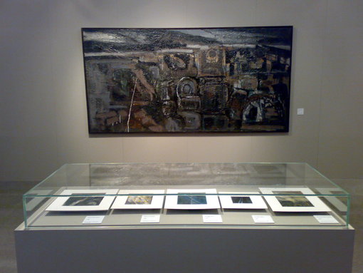 Allestimento Mostra 107-Edmondo-Dobrzanski 04
