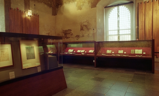 Allestimento Mostra 109-Leonardo-Trattato-Pittura 03