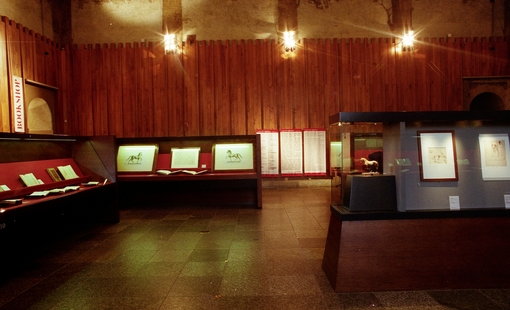 Allestimento Mostra 109-Leonardo-Trattato-Pittura 06