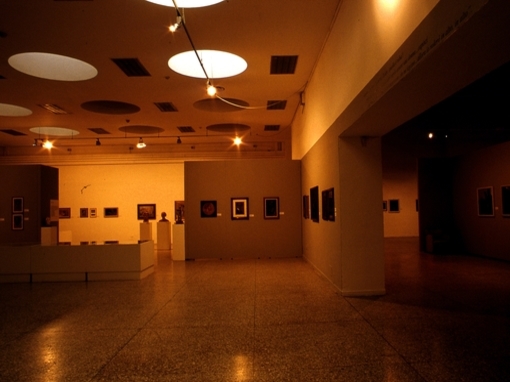 Allestimento Mostra 110-Adriana-Bisi-Fabbri 04