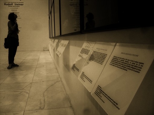 Allestimento Mostra 17-RUDOLF-STEINER 01