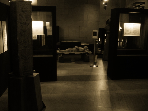 Allestimento Mostra 22-ULTIMO-MICHELANGELO 02